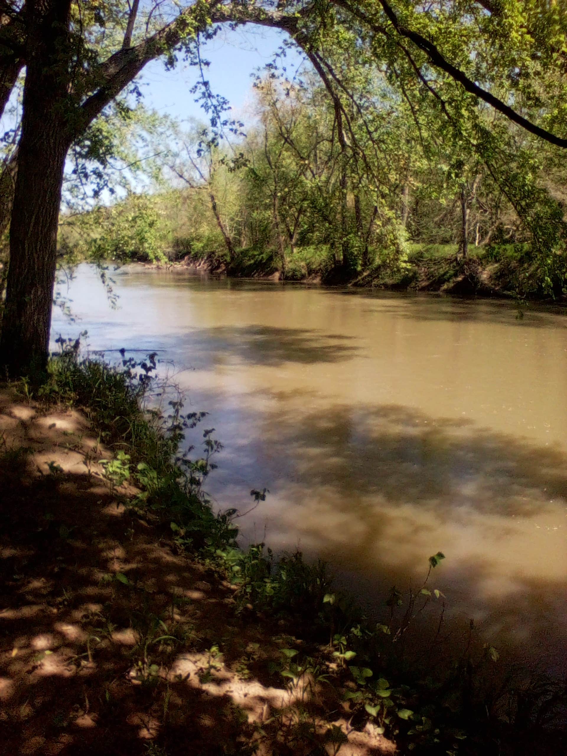 Camper-submitted photo at Fox Ridge State Park Campground near Charleston, IL