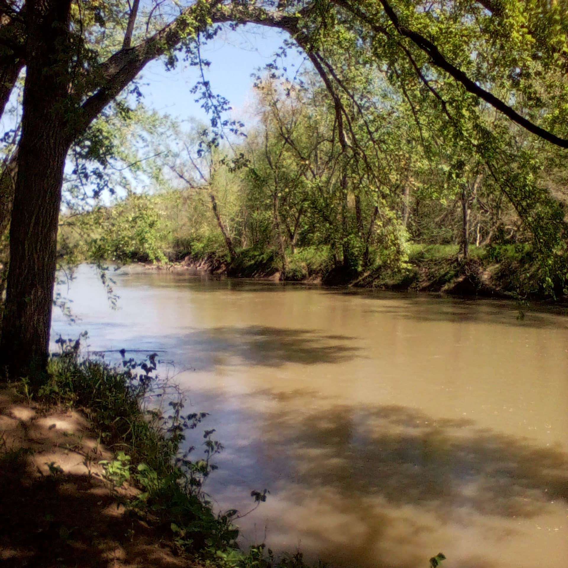 Fox Ridge State Park Campground | Charleston, Illinois