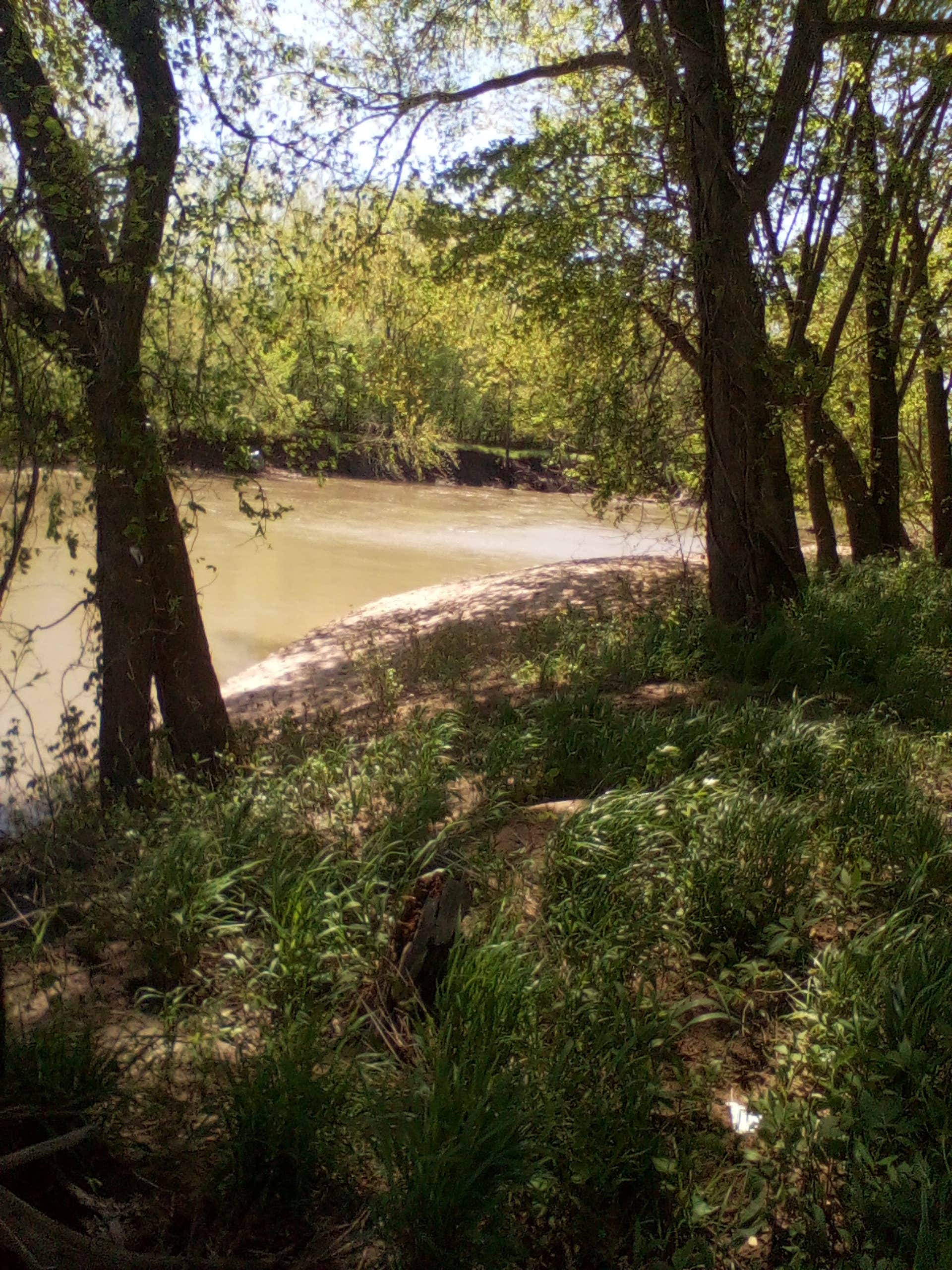 Camper-submitted photo at Fox Ridge State Park Campground near Charleston, IL