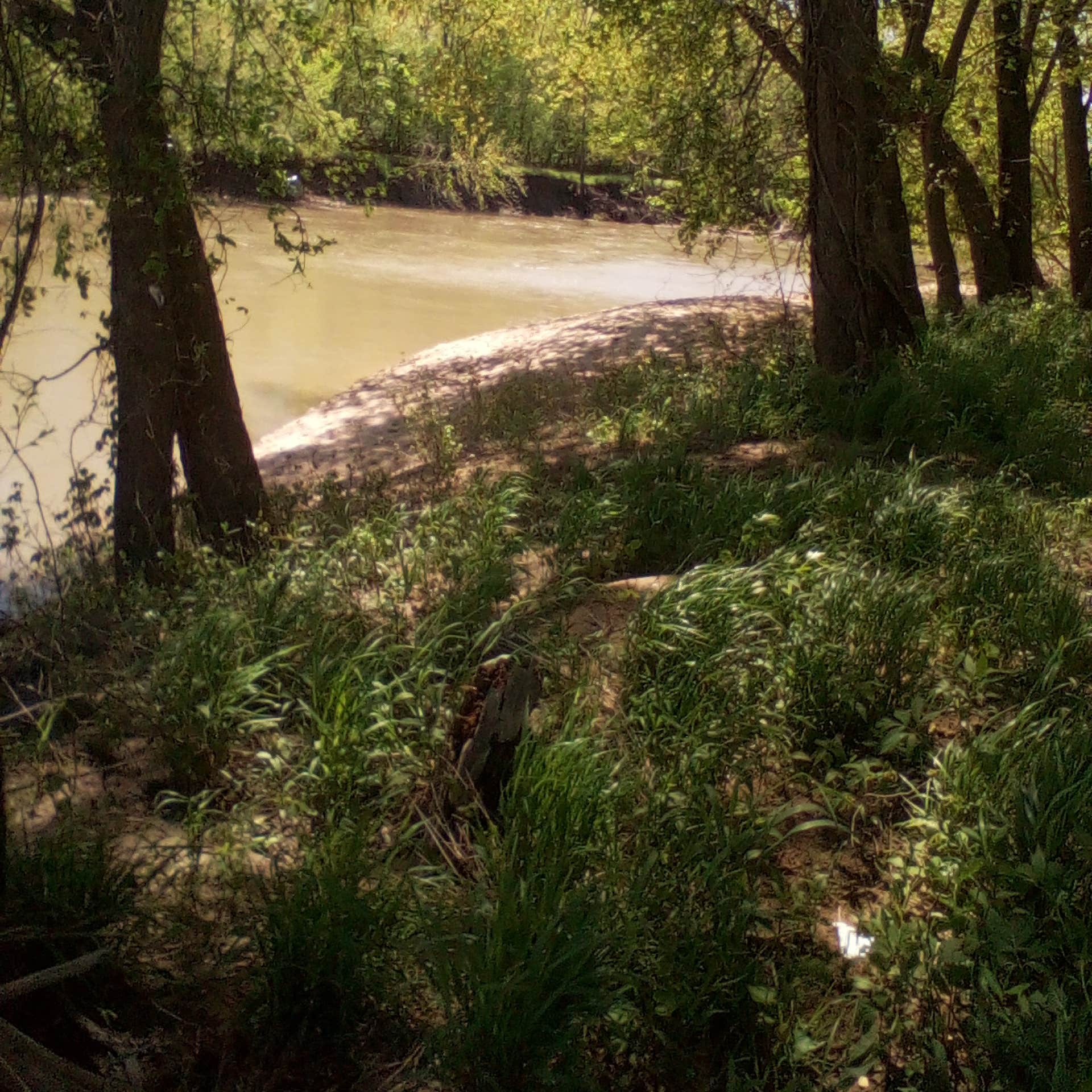 Fox Ridge State Park Campground | Charleston, Illinois