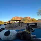 Review photo of Lost Dutchman State Park Campground by Jessica B., May 9, 2022