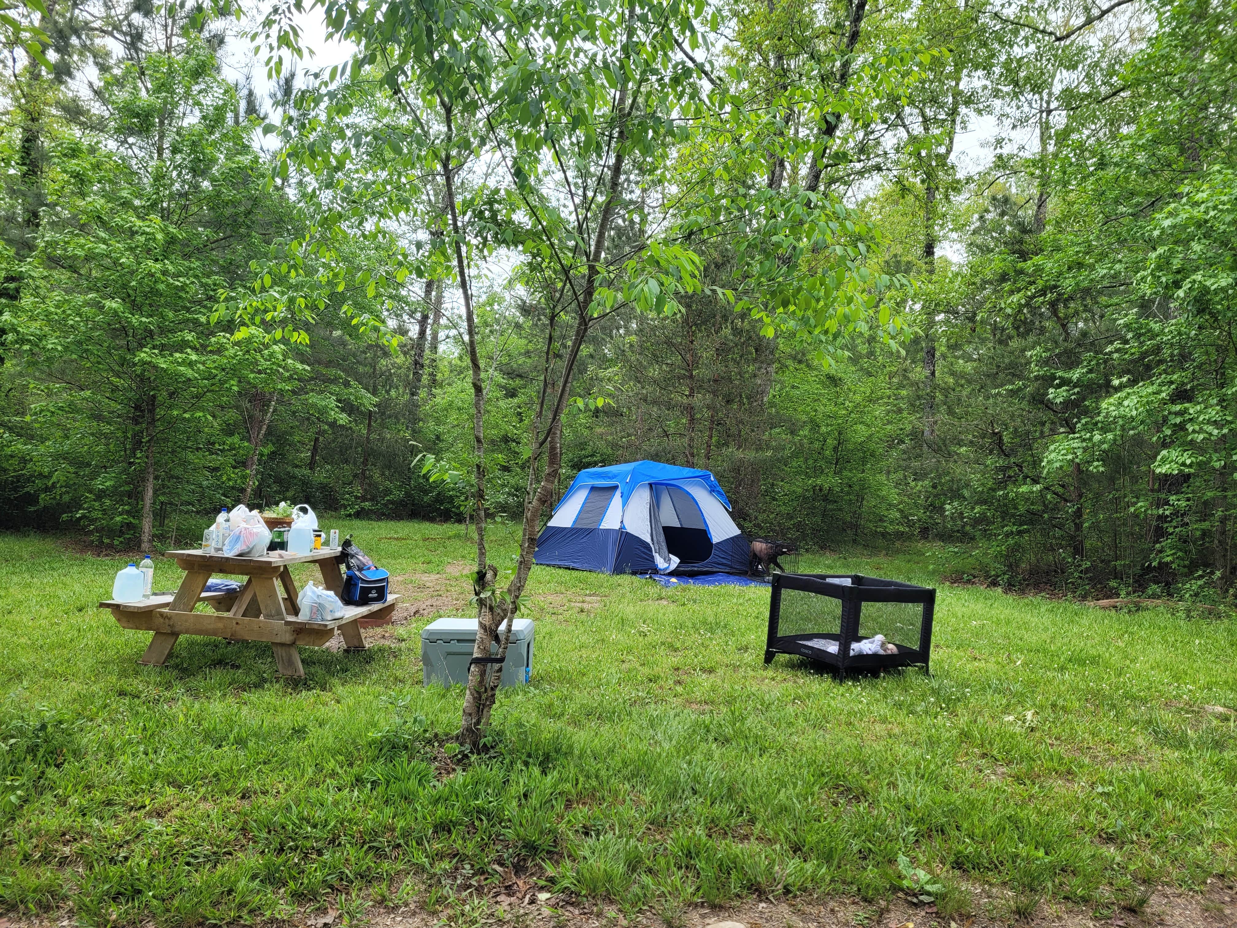 Lonni B.'s photo at Little River Adventure Company in Alabama