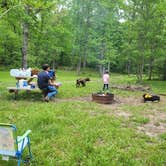 Review photo of Little River Adventure Company by Lonni B., May 9, 2022