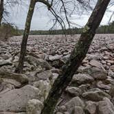 Review photo of Hickory Run State Park Campground by Mark , May 9, 2022