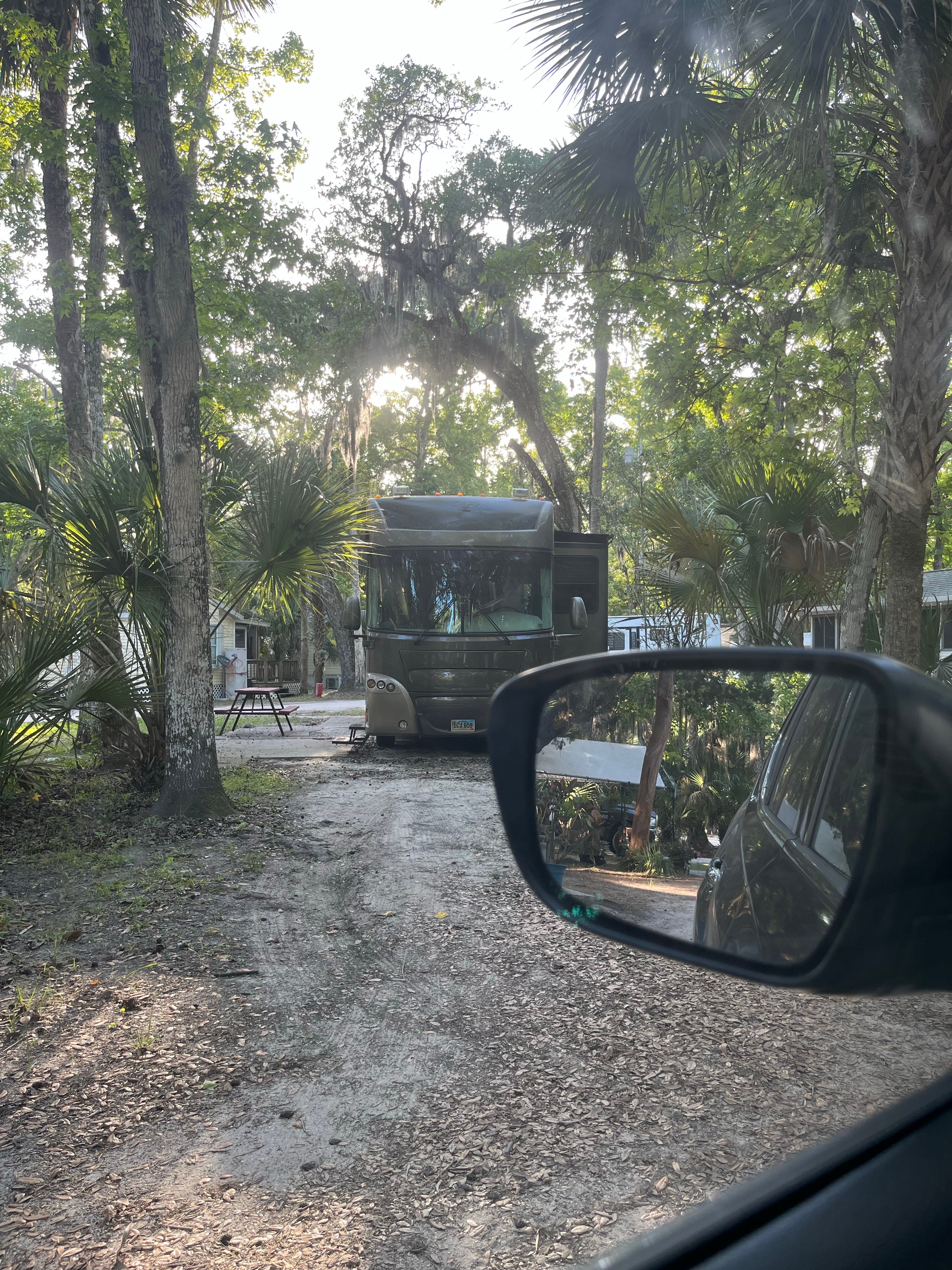 Camper submitted image from Sugar Mill Ruins Travel Park - 2