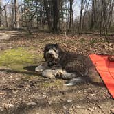 Review photo of Forestville Mystery Cave State Park Campground by anne K., May 9, 2022