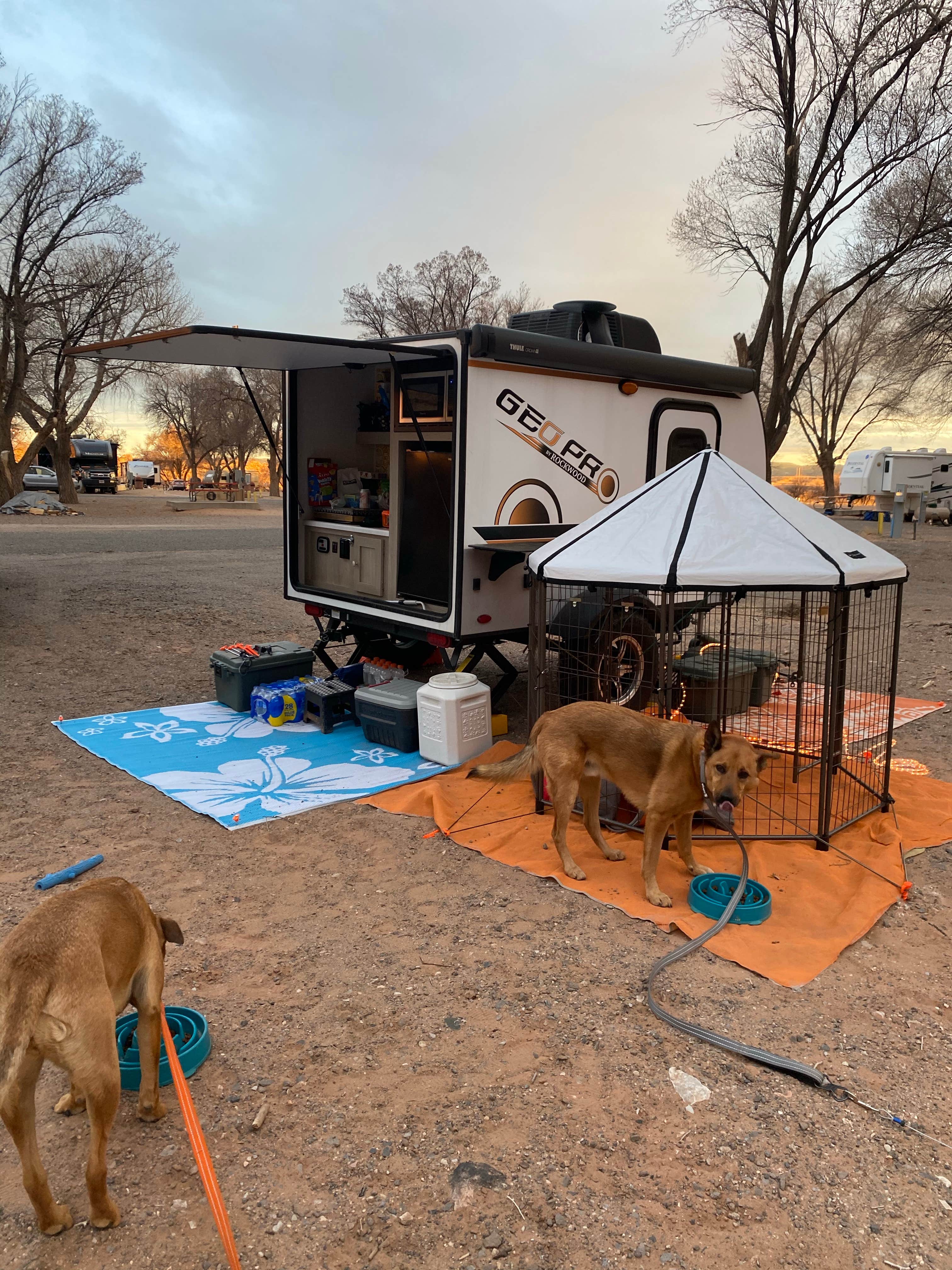 Judes W.'s photo of camping with pets at Red Rock Park & Campground near Fort Defiance, AZ