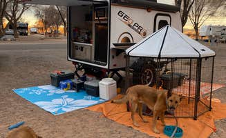Judes W.'s photo of camping with pets at Red Rock Park & Campground in New Mexico