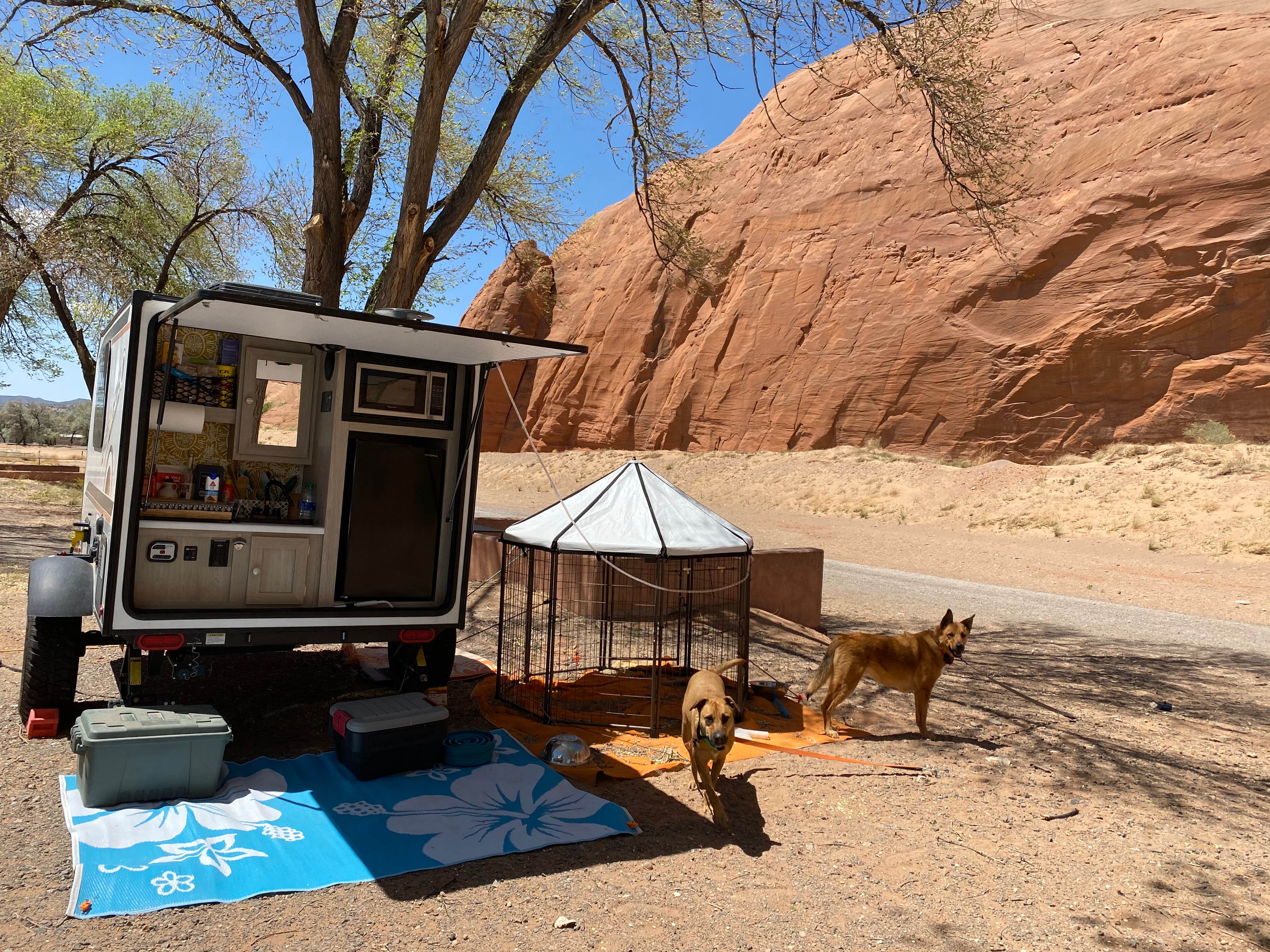 Camper submitted image from Red Rock Park & Campground - 1