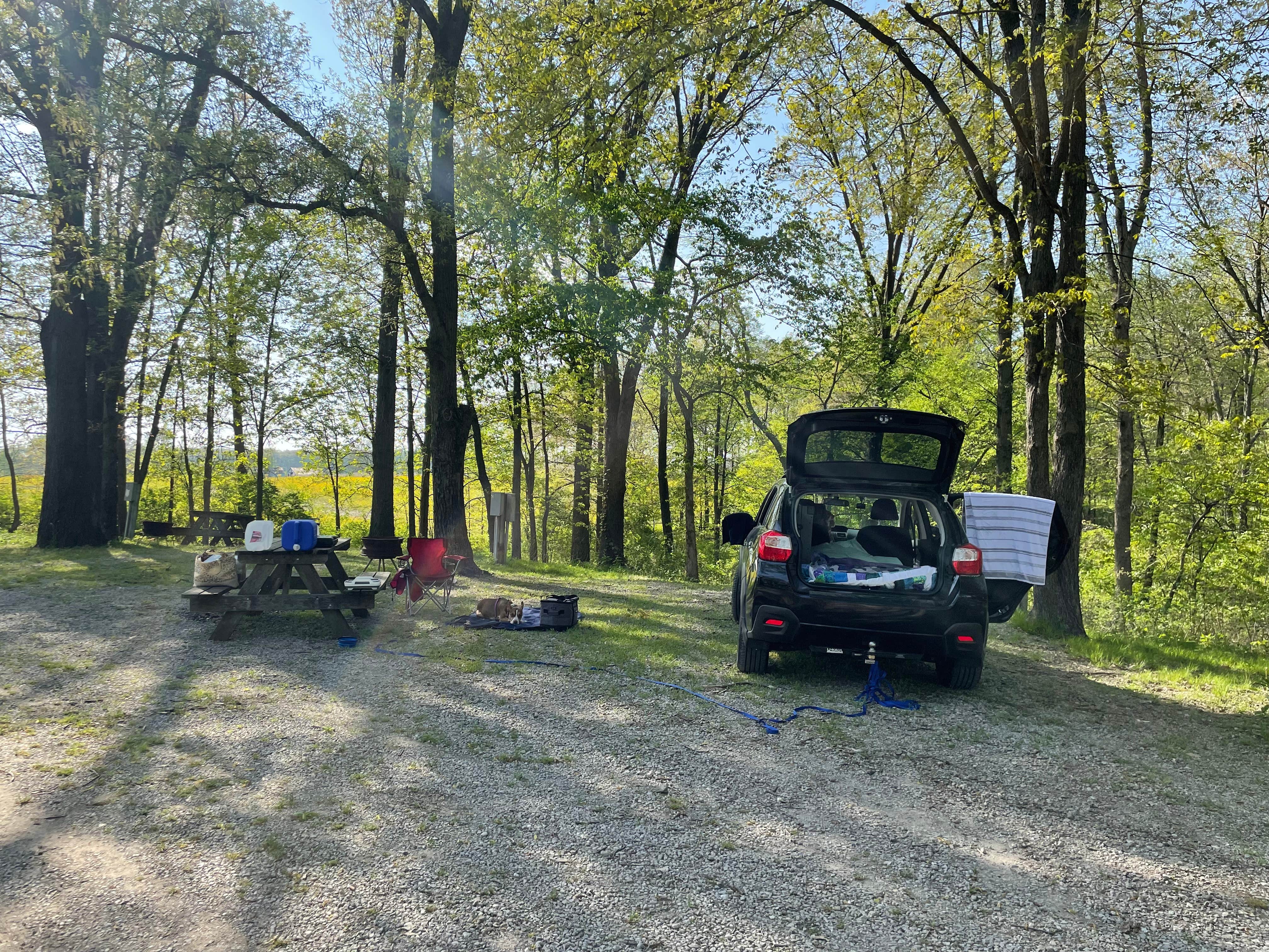 Abby H.'s photo at Spring Creek Campground near Charleston, IL
