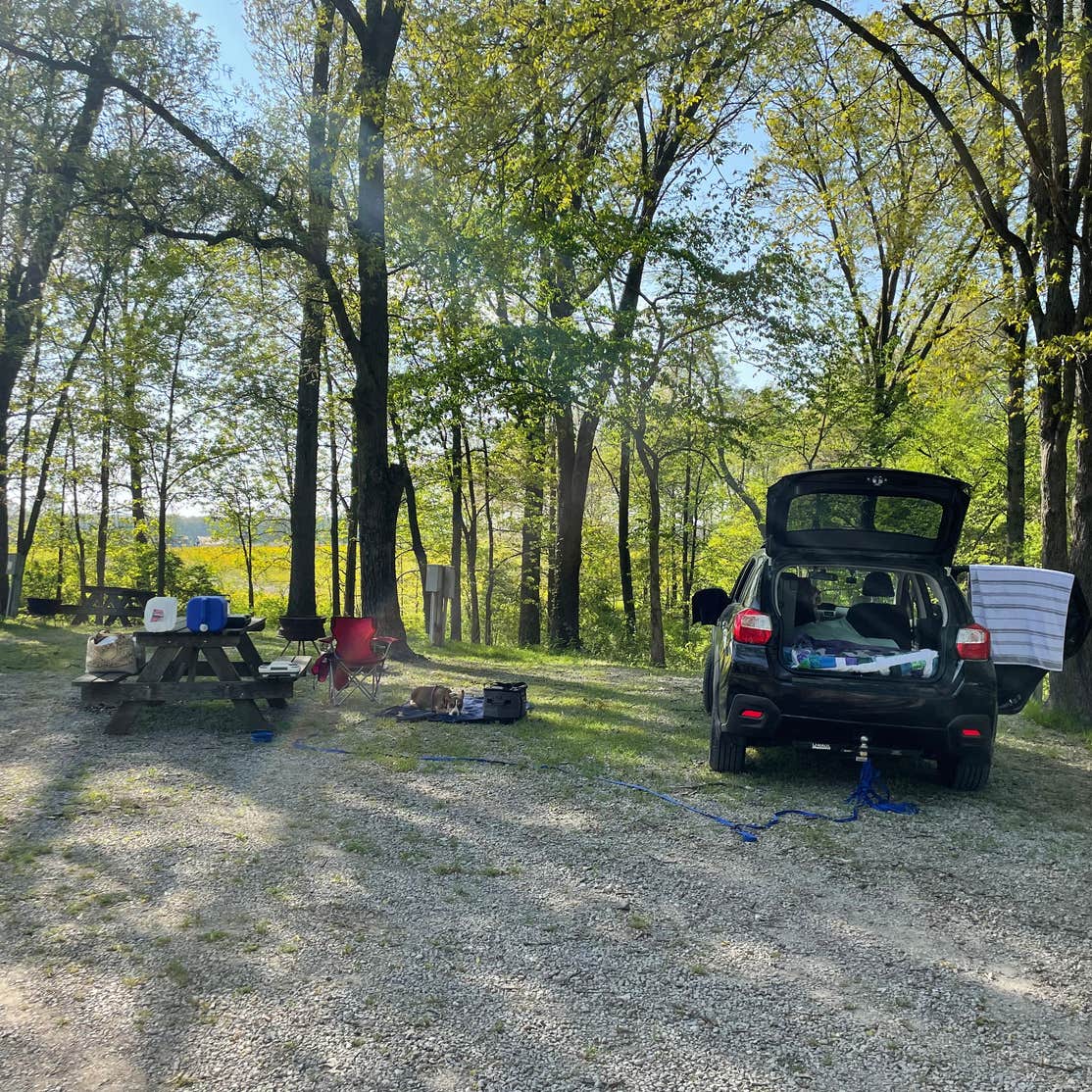 Spring Creek Campground Camping The Dyrt