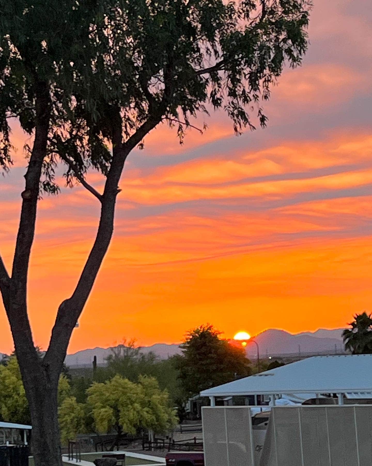 Camper-submitted photo at Pioneer RV Resort 55+ near Carefree, AZ