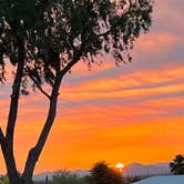Review photo of Pioneer RV Resort 55+ by Jeremiah M., May 9, 2022