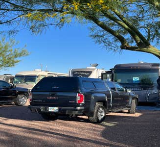 Camper-submitted photo from Maricopa County Park Lake Pleasant 
