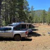 Review photo of Wing Mountain Dispersed Camping by Monte W., May 10, 2022