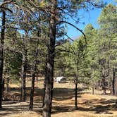 Review photo of Wing Mountain Dispersed Camping by Monte W., May 10, 2022