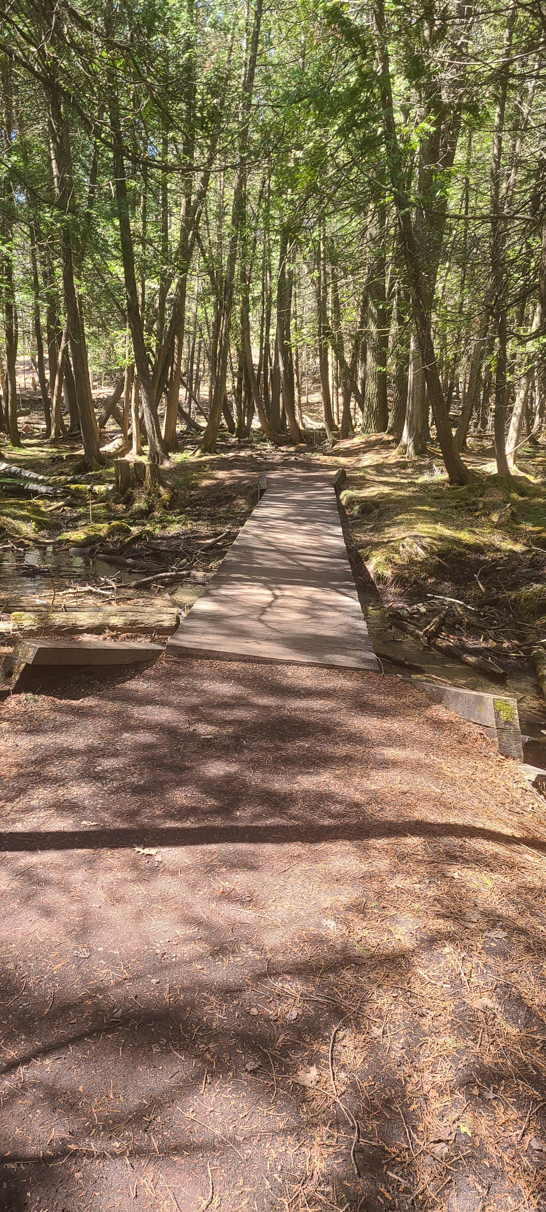 Camper-submitted photo at White Birch Village near Iron Mountain, MI