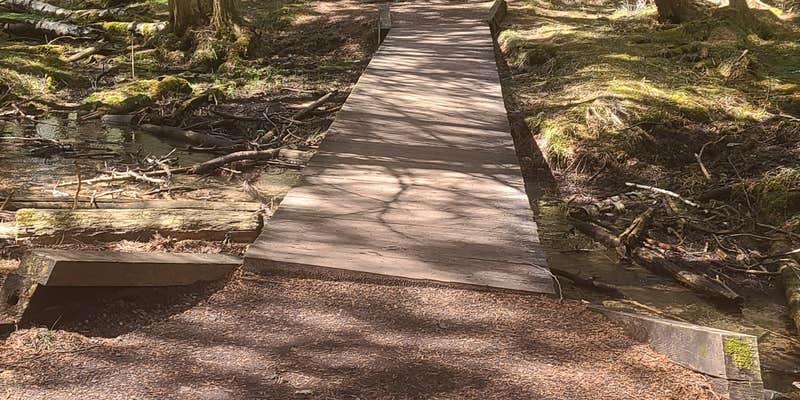 Camper submitted image from White Birch Village