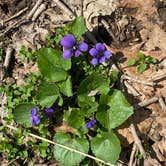 Review photo of Beaver Creek State Park Campground by Darrel and Mary W., May 10, 2022