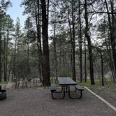 Review photo of Junction Creek Campground by Alethea , May 10, 2022