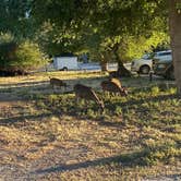 Review photo of Thousand Trails San Benito by Alberto C., May 10, 2022