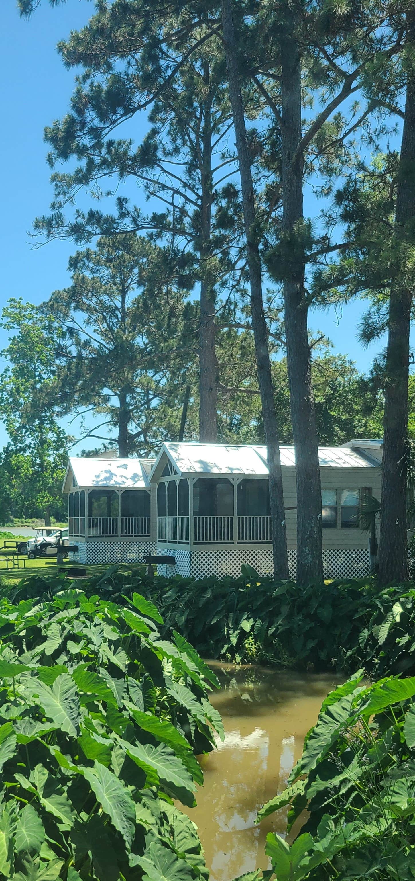 Cat R.'s photo of glamping accommodations at Lakeview Park near Lecompte, LA