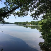 Review photo of Gifford Pinchot State Park Campground by Julie Y., July 13, 2018