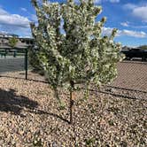 Review photo of Aspen Grove RV Park by Captmatt , May 10, 2022