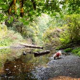 Review photo of Elk Prairie Campground — Prairie Creek Redwoods State Park by Brian K., May 10, 2022