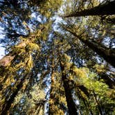 Review photo of Elk Prairie Campground — Prairie Creek Redwoods State Park by Brian K., May 10, 2022