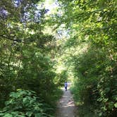 Review photo of Gifford Pinchot State Park Campground by Julie Y., July 13, 2018