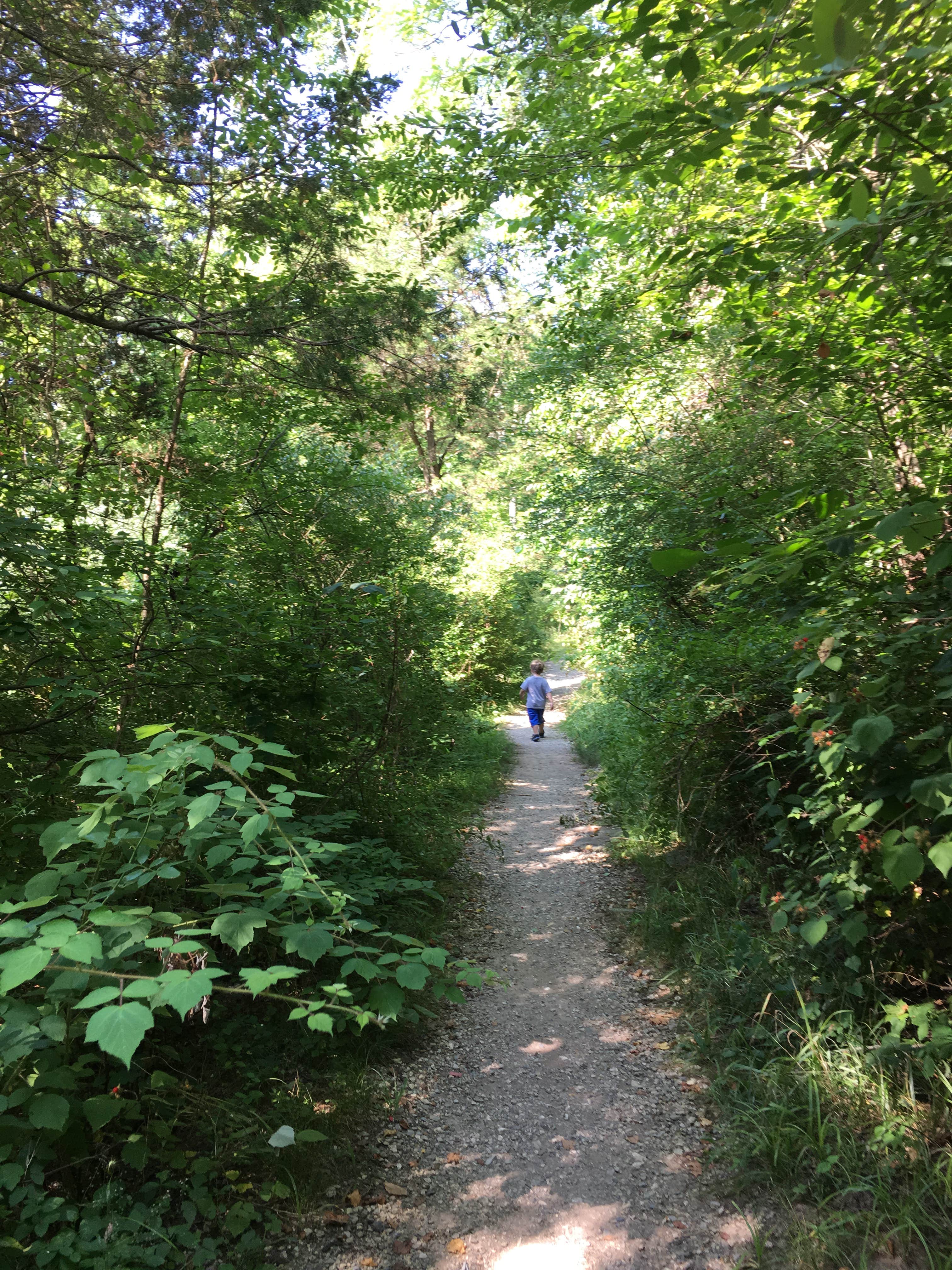 Camper submitted image from Gifford Pinchot State Park Campground - 4