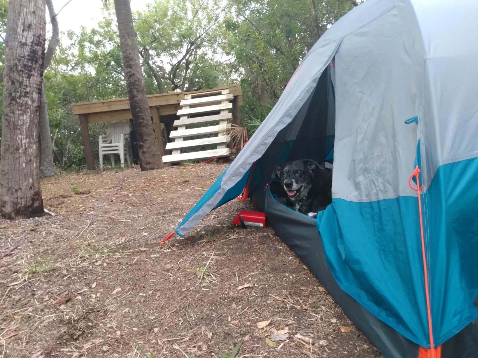 Eric E.'s photo at Island Retreat Florida near Lee, FL