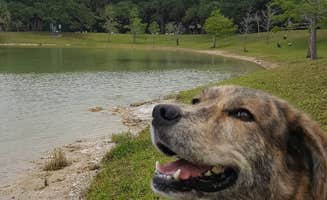 Mark B.'s photo of camping with pets at Topeekeegee Yugnee Park Campground near Palmetto Bay, FL