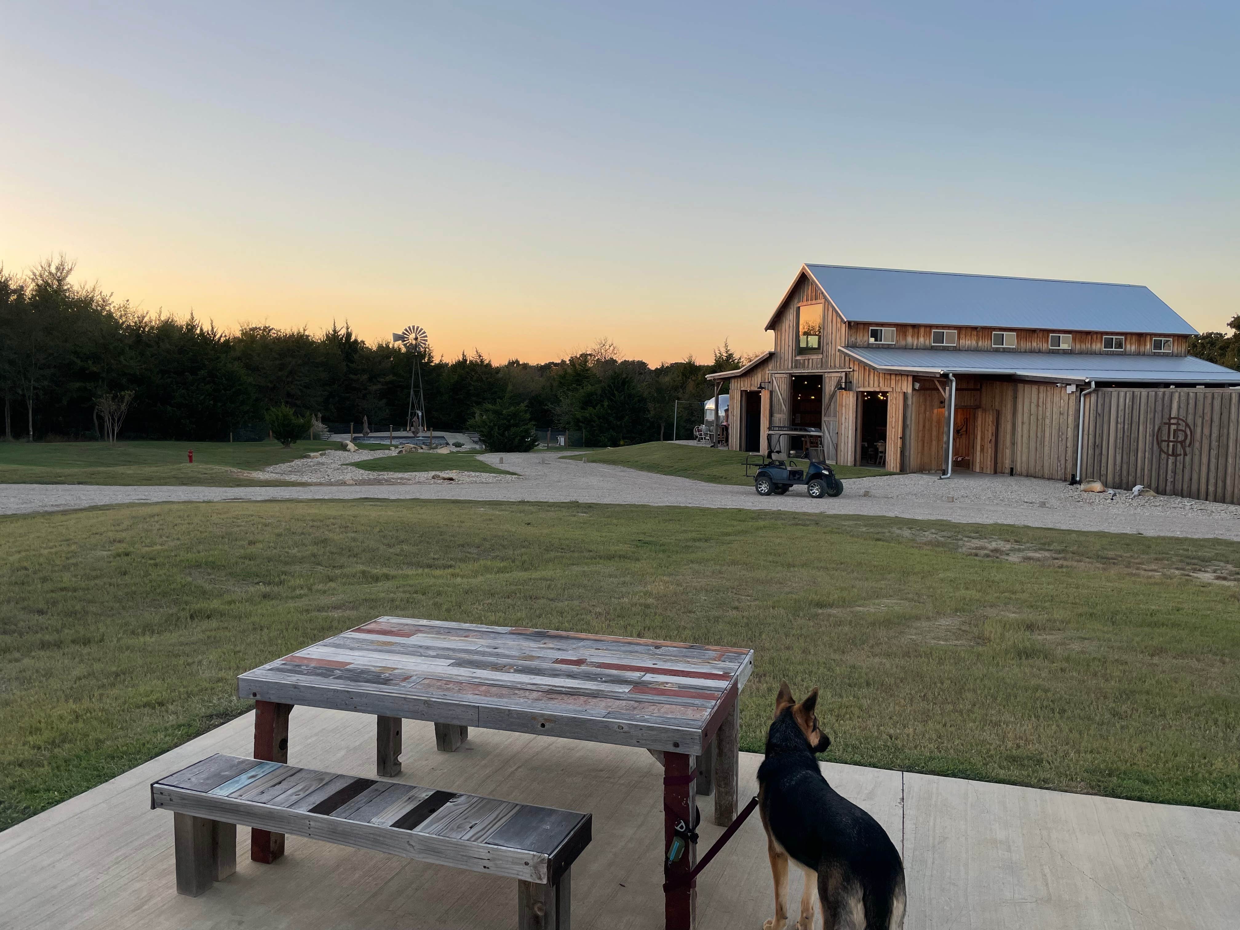 kayla's photo of camping with pets at The Range Vintage Trailer Resort near Cedar Hill, TX