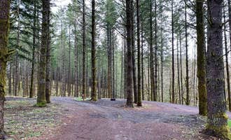 Camping near Portland-Woodburn RV Park: Drakes Forest RV Campsites, Silverton, Oregon