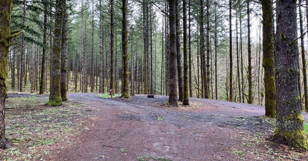 Drakes Forest RV Campsites