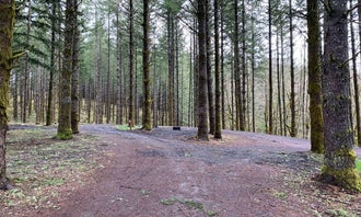 Camping near Silver Falls State Park: Drakes Forest RV Campsites, Silverton, Oregon