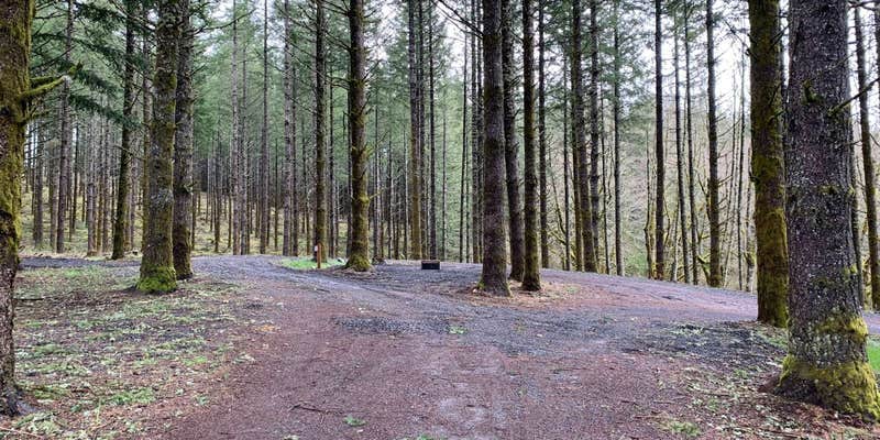 Camper submitted image from Drakes Forest RV Campsites