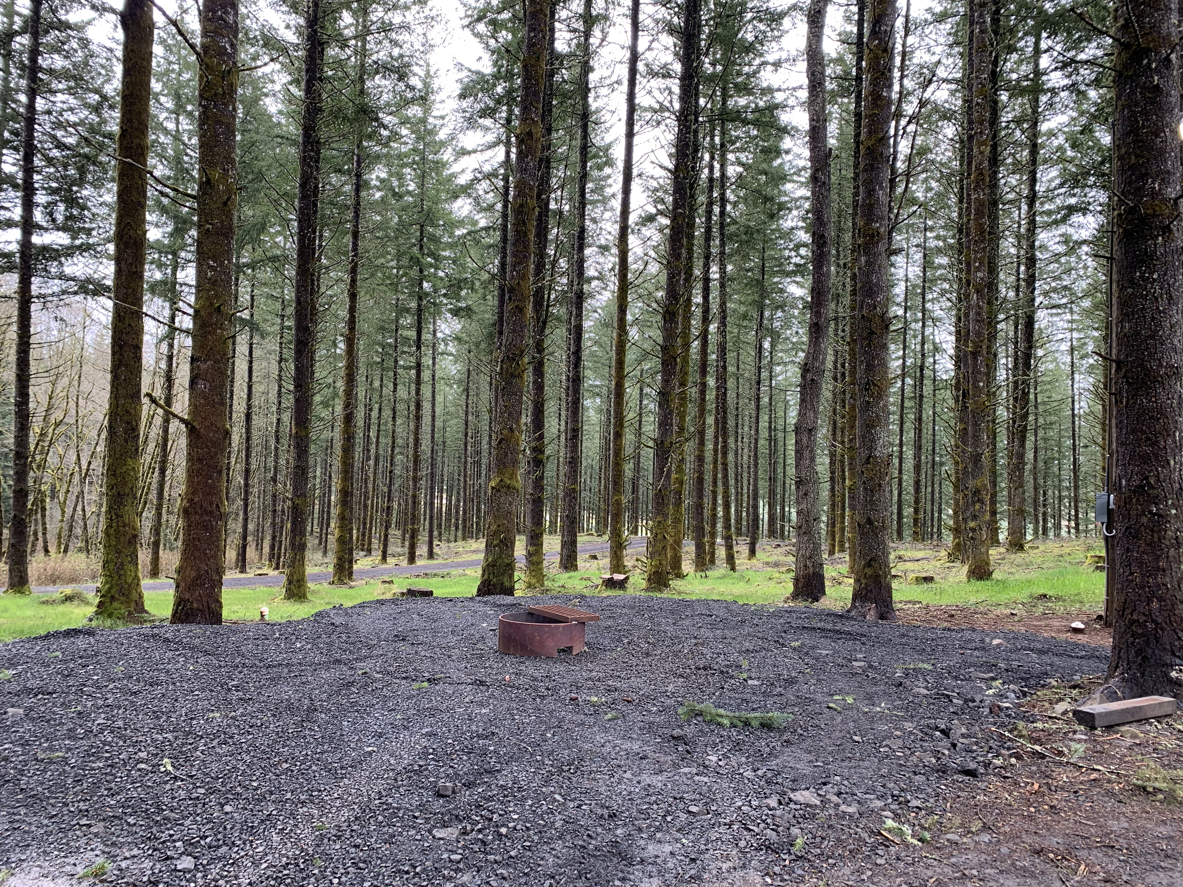 Camper-submitted photo at Drakes Forest RV Campsites near Gates, OR