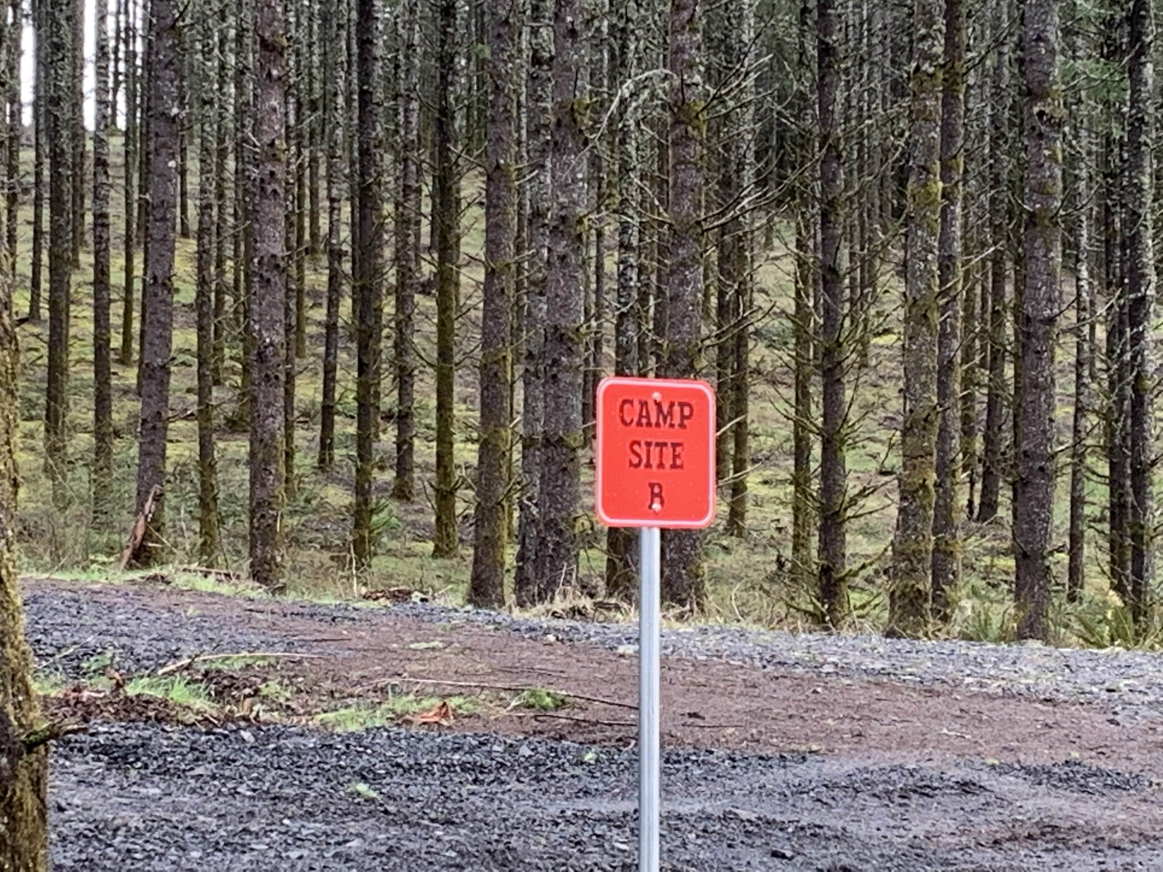 Camper-submitted photo at Drakes Forest RV Campsites near Gates, OR