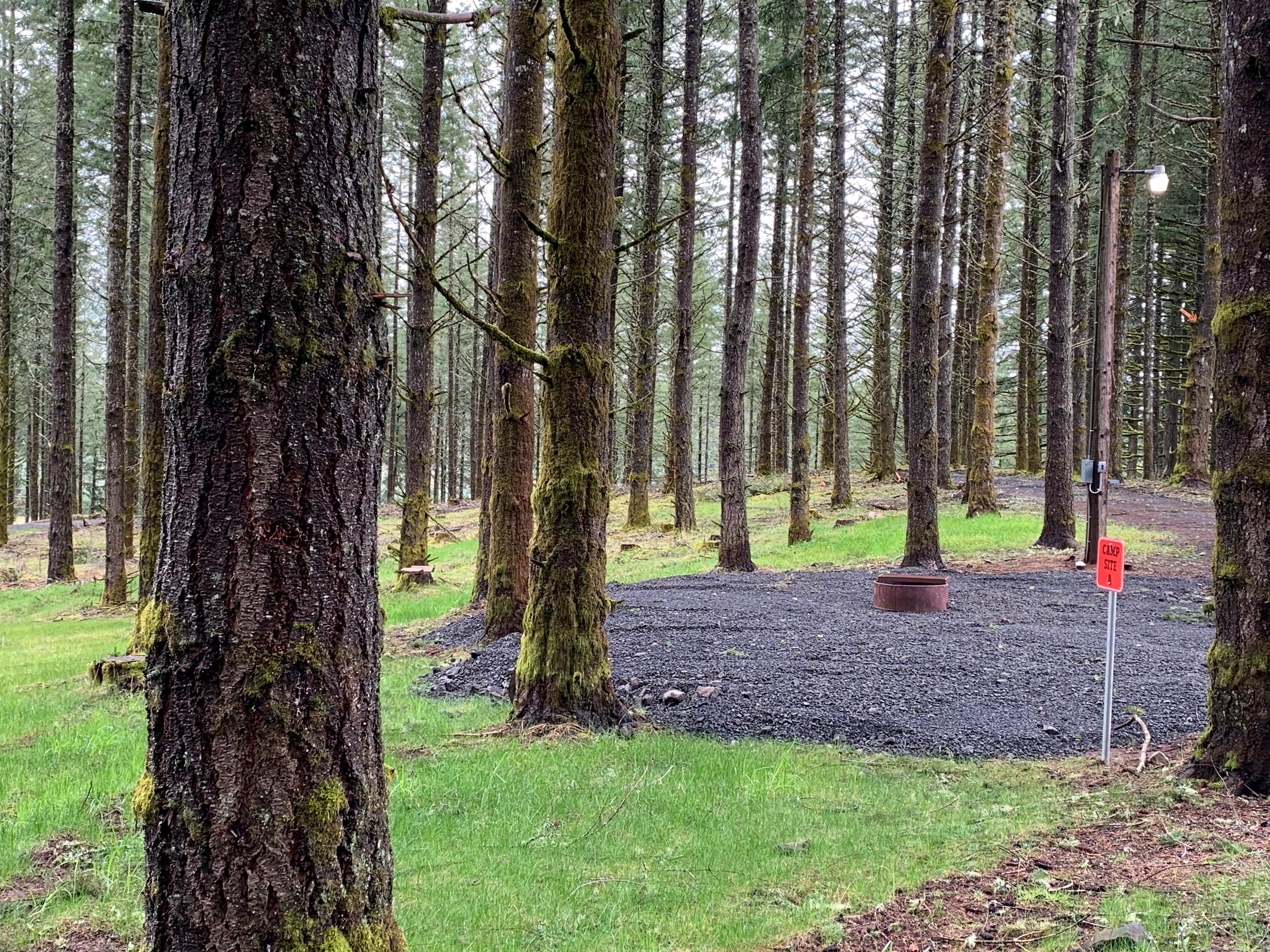 Camper-submitted photo at Drakes Forest RV Campsites near Gates, OR