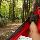 Review photo of Elkmont Campground — Great Smoky Mountains National Park by Rachel , May 10, 2022
