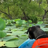 Review photo of Petit Jean State Park — Petit Jean State Park by Kala V., July 13, 2018