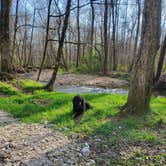 Review photo of Red Coach Resort by Bruce G., May 10, 2022