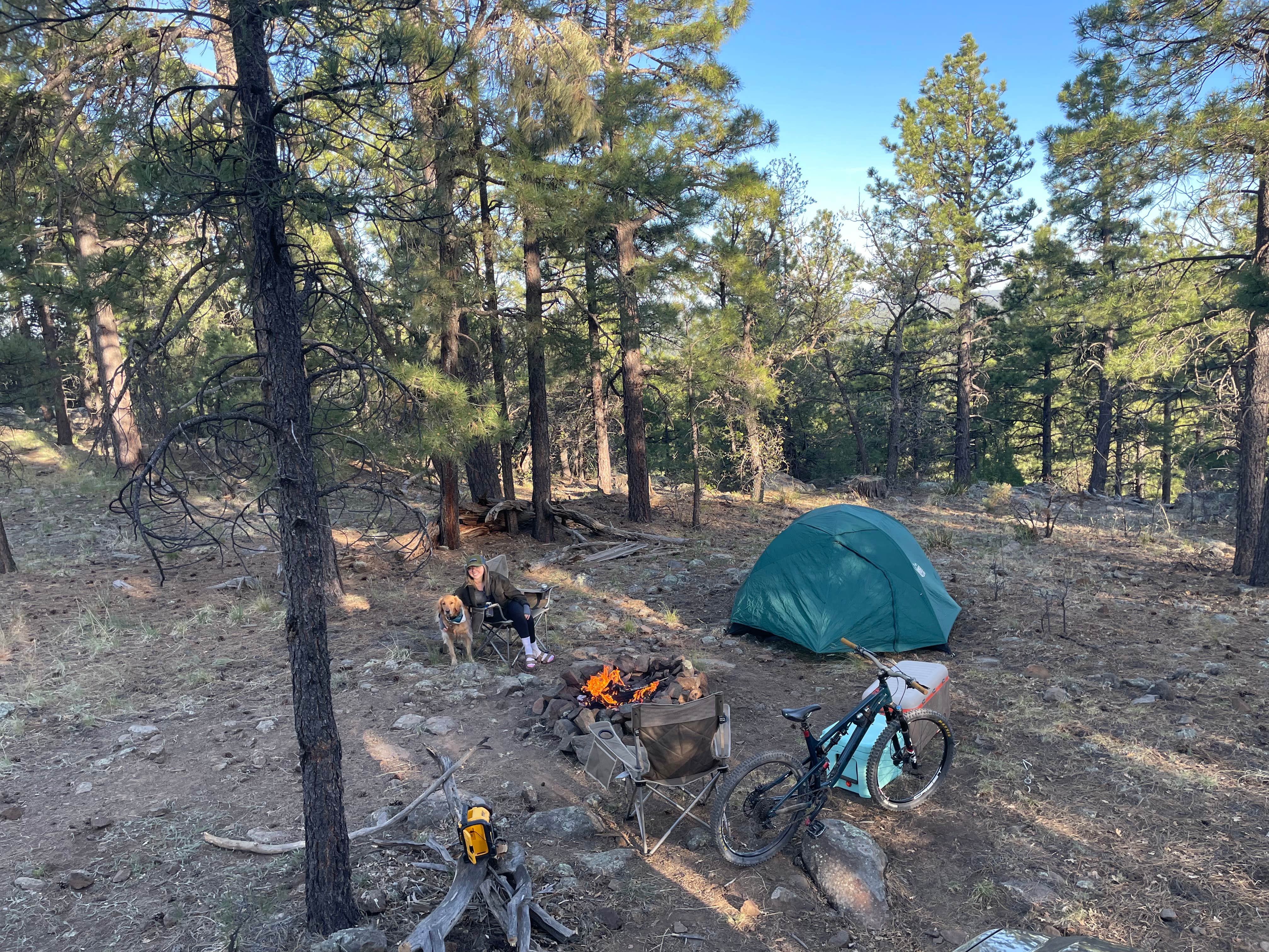 Michael B.'s photo of a dispersed camping area at Blue Ridge Reservoir in Arizona