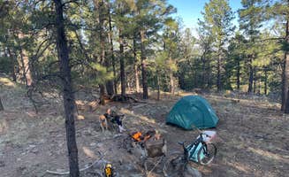 Michael B.'s photo of a dispersed camping area at Blue Ridge Reservoir in Arizona