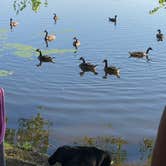 Review photo of Petit Jean State Park — Petit Jean State Park by Kala V., July 13, 2018