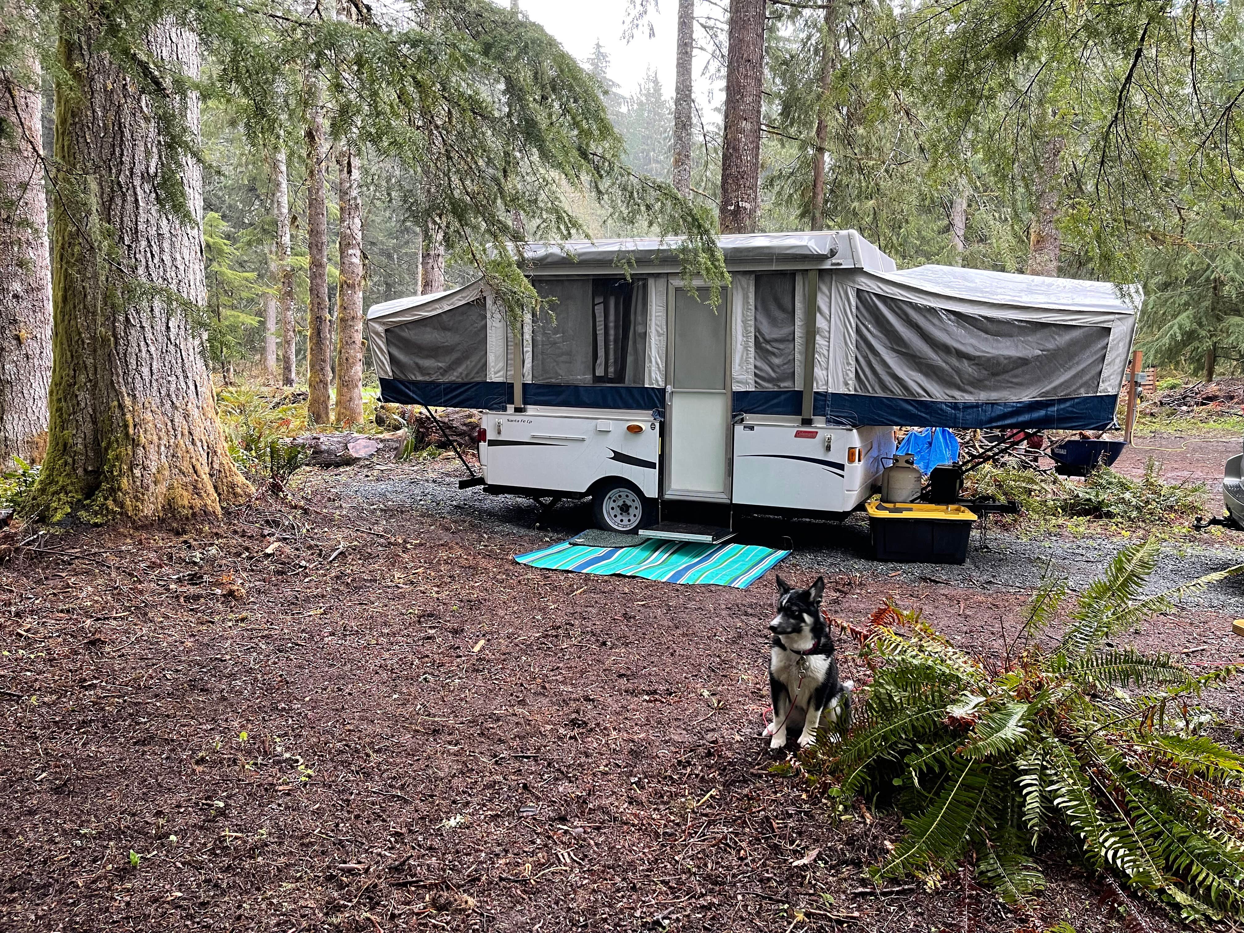 Patricia G.&#x27;s photo at Paradise Ridge Private Campground in Washington