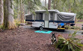 Patricia G.'s photo at Paradise Ridge Private Campground near Elbe, WA